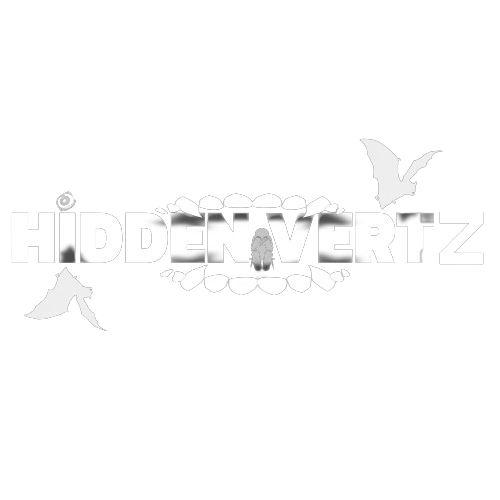 HiddenVertz